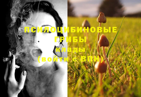дживик Абинск