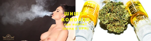 дживик Абинск