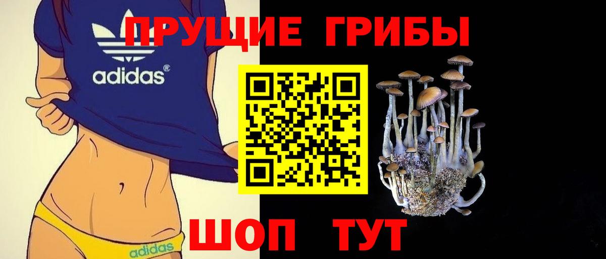 Галлюциногенные грибы Psilocybine cubensis Добрянка