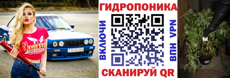 МАРИХУАНА сатива Добрянка